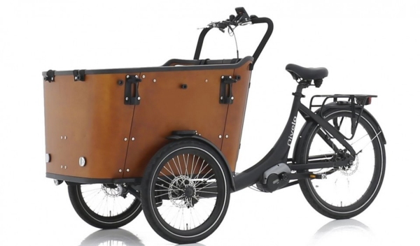 Elektrofahrrad Qivelo N8 Bafang 250W Pedelec E-Bike Lastenfahrrad 26 Zoll 8-Gang, Kastenfahrrad