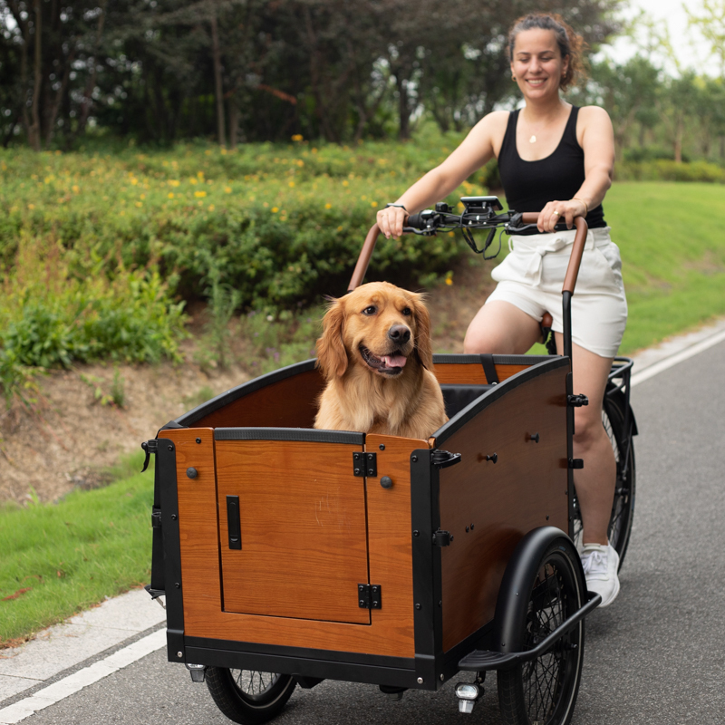 Transportfahrrad E-Bike Aitour Familie S, Elektro Lastenfahrrad, Nuvinci 330 Schaltung, pannensichere Reifen