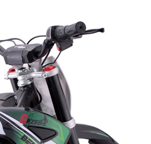 Kinder Elektrobike, Crossbike Beneo Motors Gazelle 1000 Watt, Lithiumakku 36V, Dirtbike