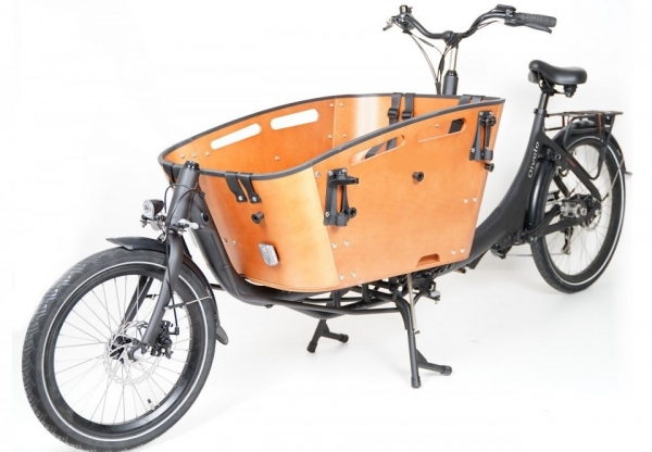 Elektrofahrrad Qivelo Curve 2 7SP 250W Pedelec E-Bike Lastenfahrrad 26 Zoll, Transportfahrrad, Kastenfahrrad