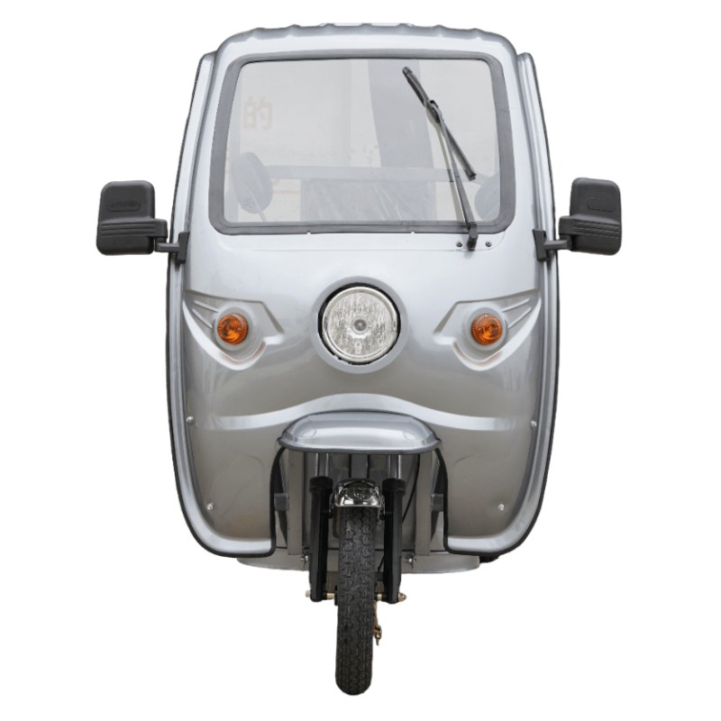 Elektro-Pritsche Cargo Cruiser 25/45 km/h, Transporttrike, Transportfahrzeug, Lastenfahrzeug, Elektro Pritschenwagen, E-Trike mit Ladefläche