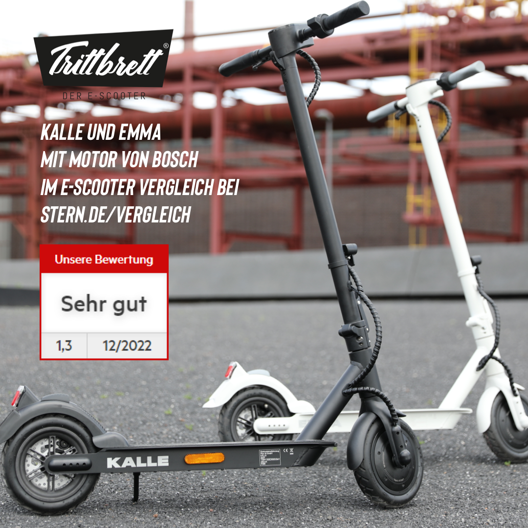 Trittbrett Modell Kalle, Elektroroller Scooter Stehroller 2.1 - eKFV 20 km/h, 25 km/h mit Straßenzulassung