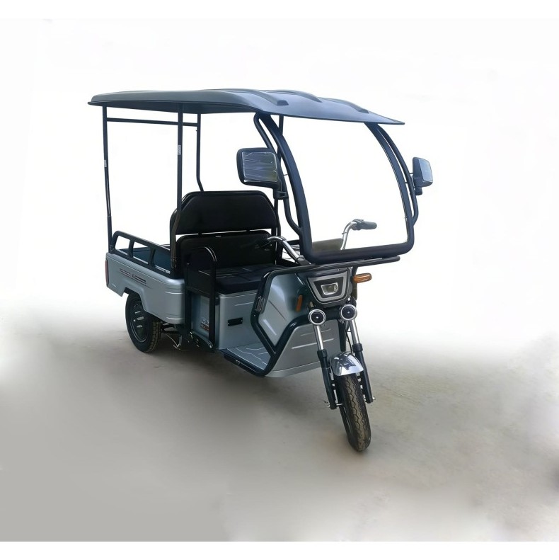 Elektrokipper mit Dach Rhino 25/45 km/h Transportfahrzeug mit 2540 Watt, Lastenfahrzeug, E-Kipper, E-Trike mit Ladefläche