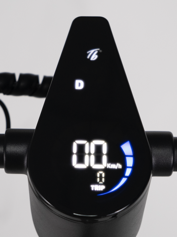Trittbrett Modell Kalle, Elektroroller Scooter Stehroller 2.1 - eKFV 20 km/h, 25 km/h mit Straßenzulassung