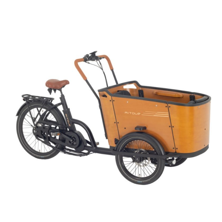 Transportfahrrad E-Bike Aitour Familie C, Elektro Lastenfahrrad, Nuvinci 330-Nabenschaltung, pannensichere Reifen