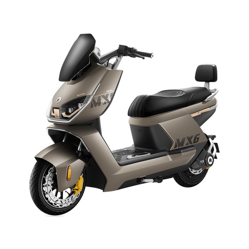 E-Roller NeonRider 2500 Watt, 45 km/h mit Natrium-Ionen-Akku, mögliche Reichweite von 200 km