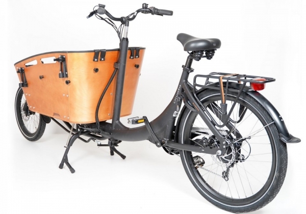 Elektrofahrrad Qivelo Curve 2 7SP 250W Pedelec E-Bike Lastenfahrrad 26 Zoll, Transportfahrrad, Kastenfahrrad