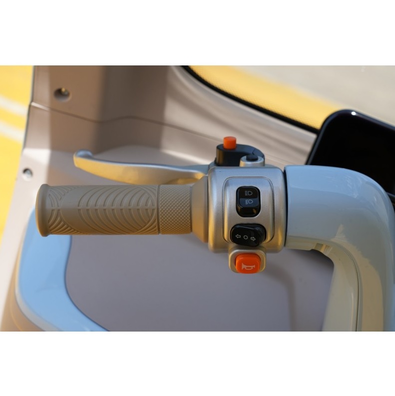 Kabinenroller Elektroauto FUTURA E-Move, E-Auto für Senioren mit 25 km/h oder 45 km/h, Elektroauto mit 2000 Watt, Elektromobil mit Dach