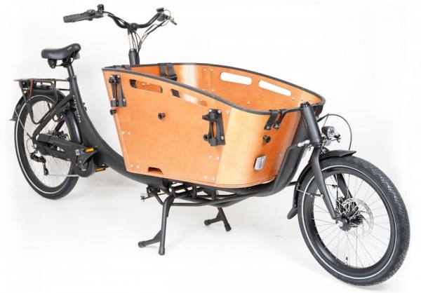 Elektrofahrrad Qivelo Curve 2 7SP 250W Pedelec E-Bike Lastenfahrrad 26 Zoll, Transportfahrrad, Kastenfahrrad