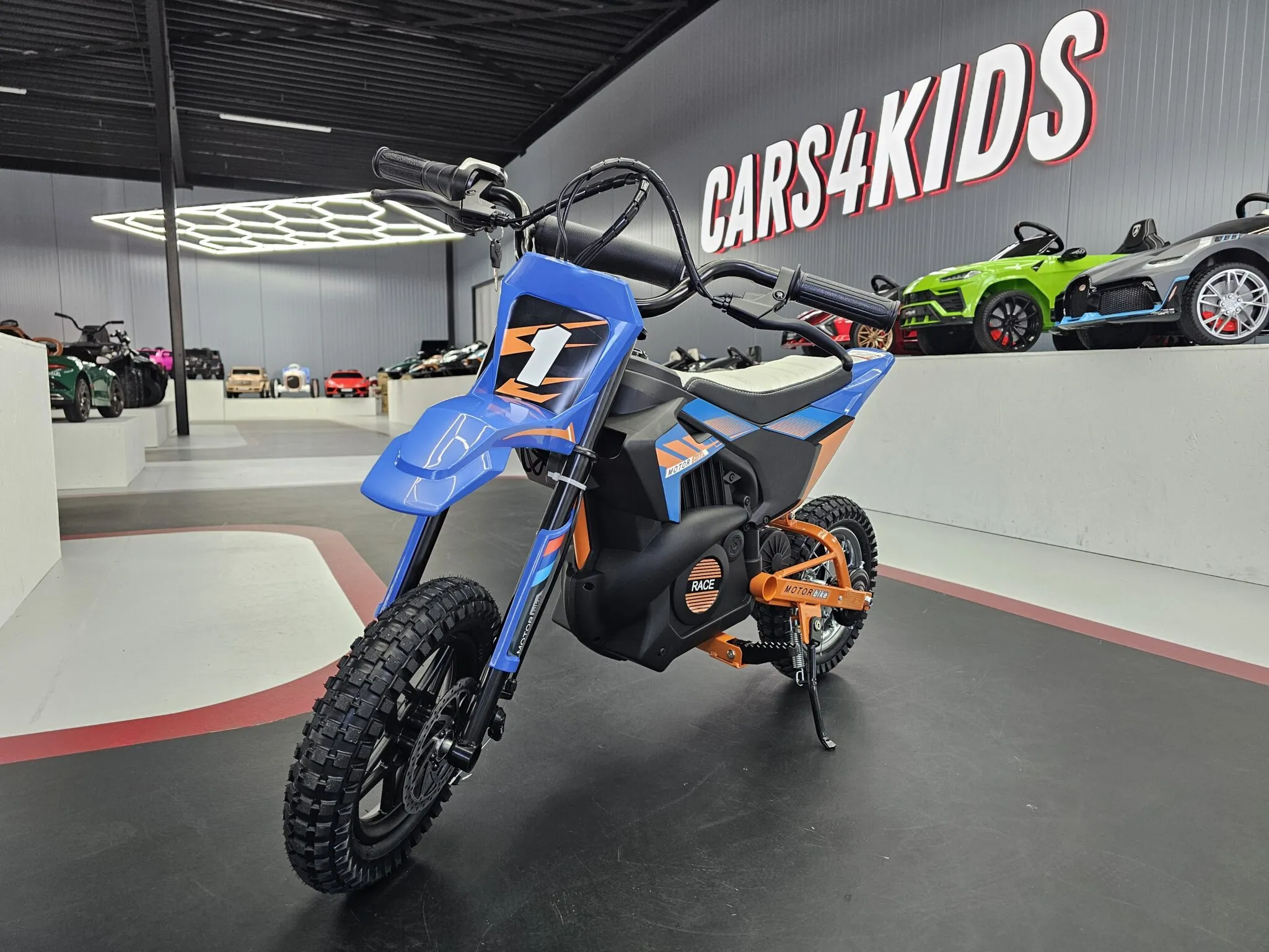 Elektro Kinder Cross x-Bike 250 Watt - Anfängermodell für Motorsport - Elektrocross, Crossbike, Kinderbike, Kindercross Motorrad