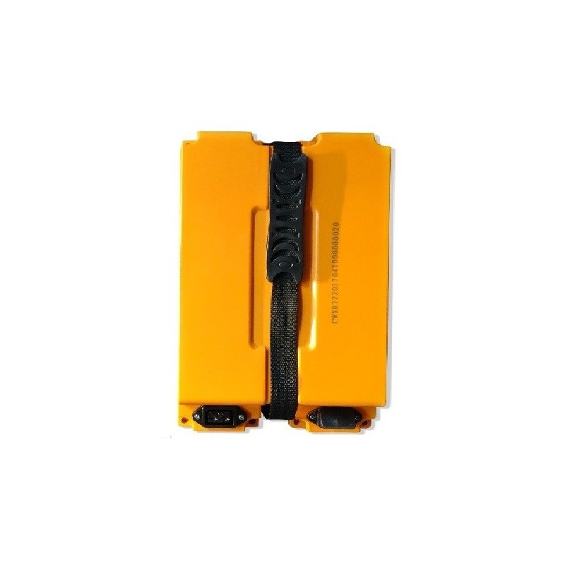 Ersatz-Batterie für Seniorenmobil Vita Care, Duo, E-Nobilus, Neo, Lithium Akku, Lithium Batterie, Ersatzakku für Elektromobil