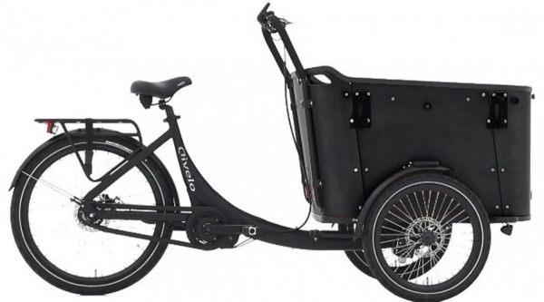 Elektrofahrrad Qivelo N8 Bafang 250W Pedelec E-Bike Lastenfahrrad 26 Zoll 8-Gang, Kastenfahrrad
